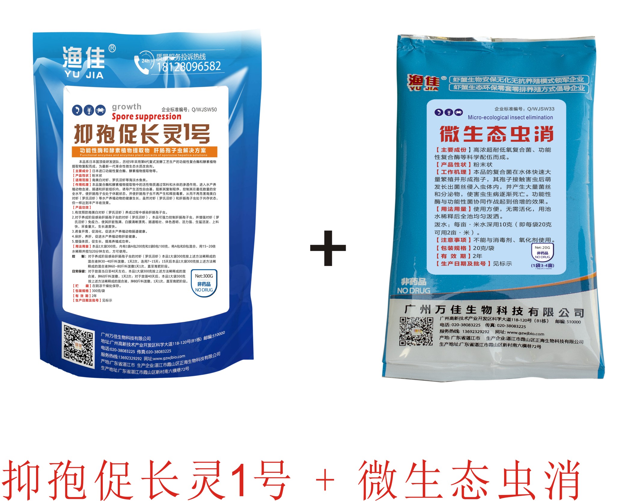 對(duì)蝦肝腸孢子蟲(chóng) 不用愁！